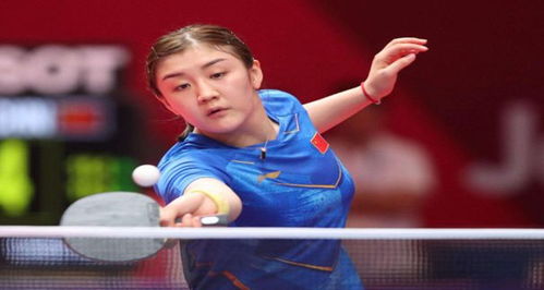 德里后期因 德里后期因